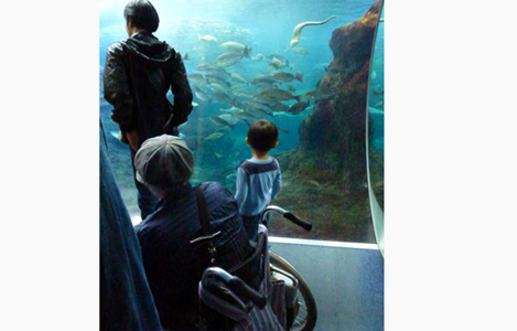 石坂わたるの活動:中野区内NPOであるILねこの手の、江ノ島水族館バス旅行での水族館で利用者さんが見学する様子